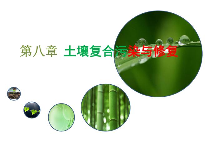 第八章土壤复合污染与修复
